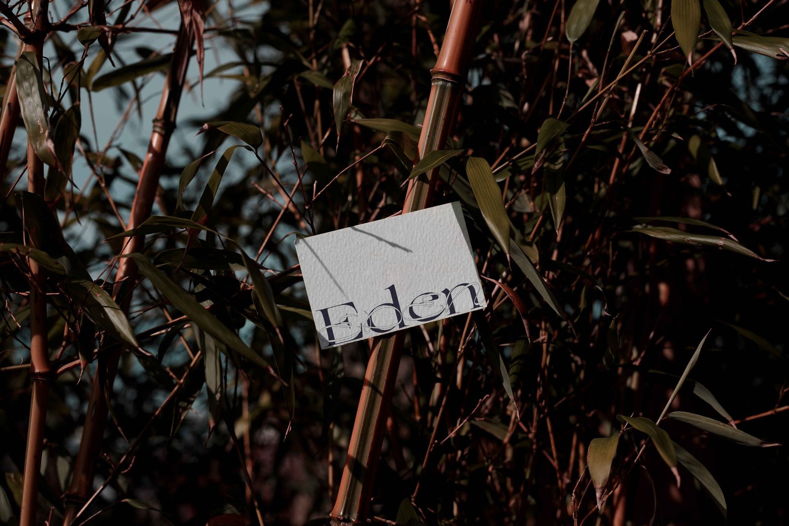 EDEN 02 BUSINESS CARD 14 preview 3