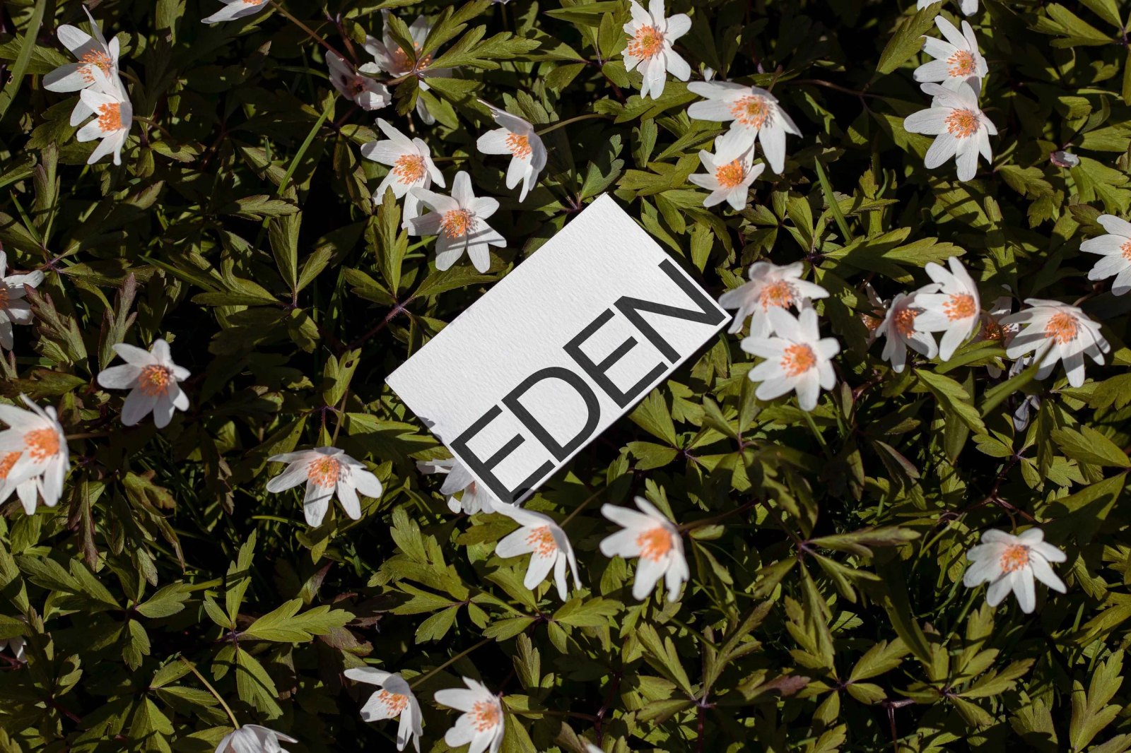 EDEN BUSINESS CARD 08
