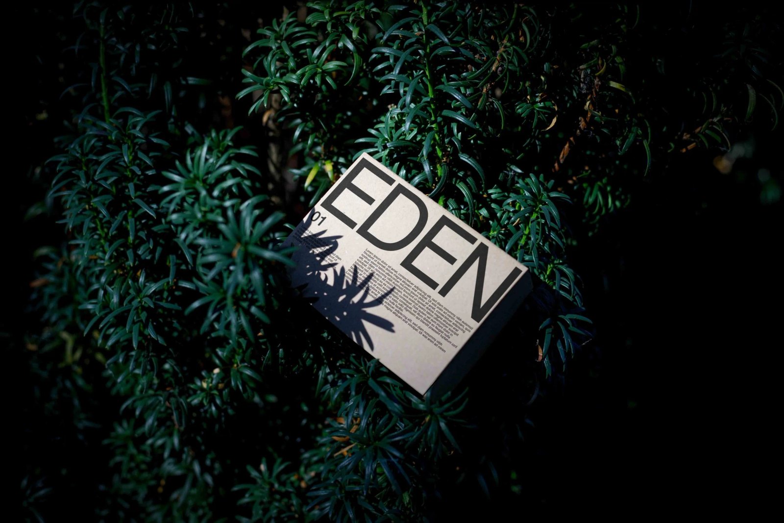 EDEN ECO BOX 01 preview 4