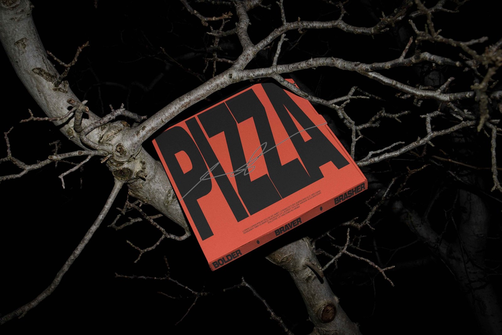 BRASH PIZZA BOX 03