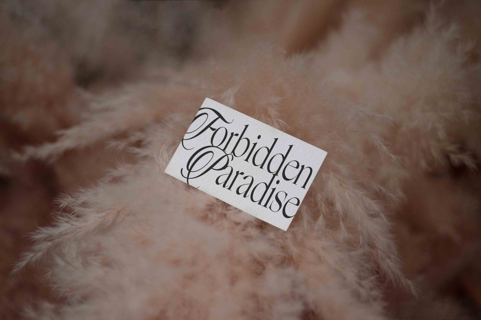 EDEN 02 BUSINESS CARD 13 preview 4