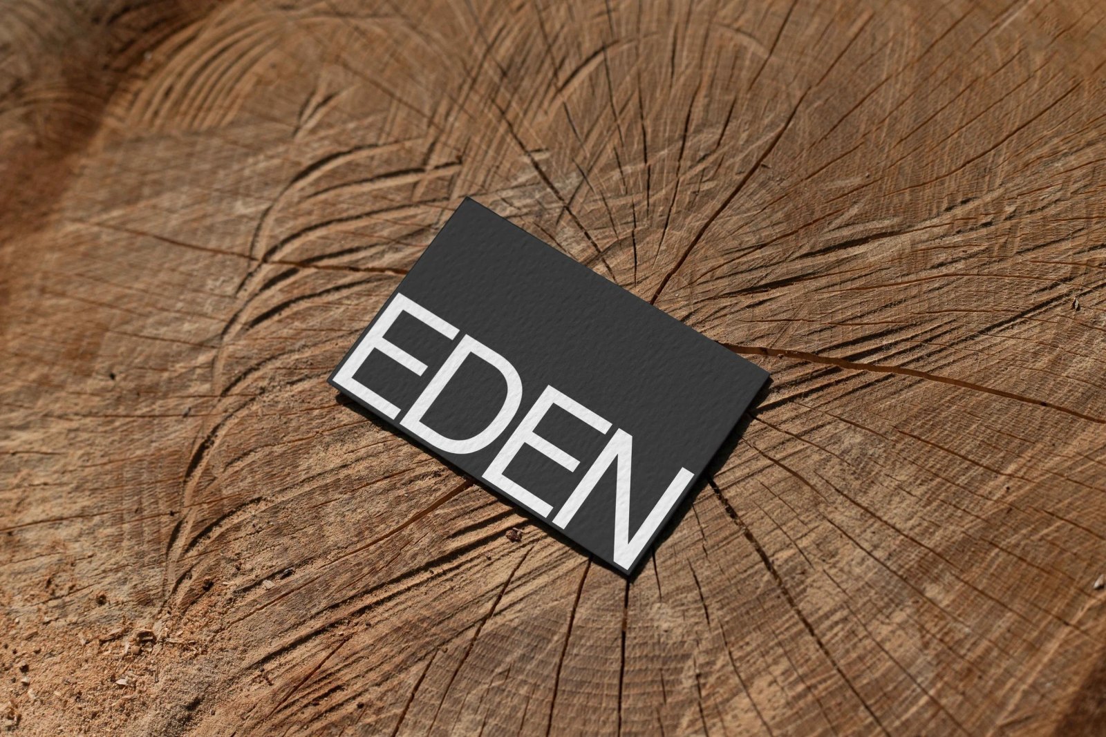 EDEN BUSINESS CARD 12