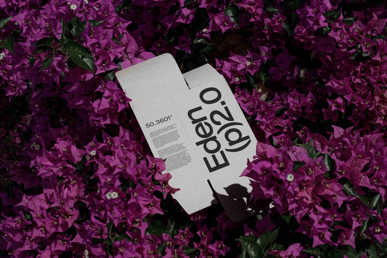 EDEN 02 BOX 05 preview 6