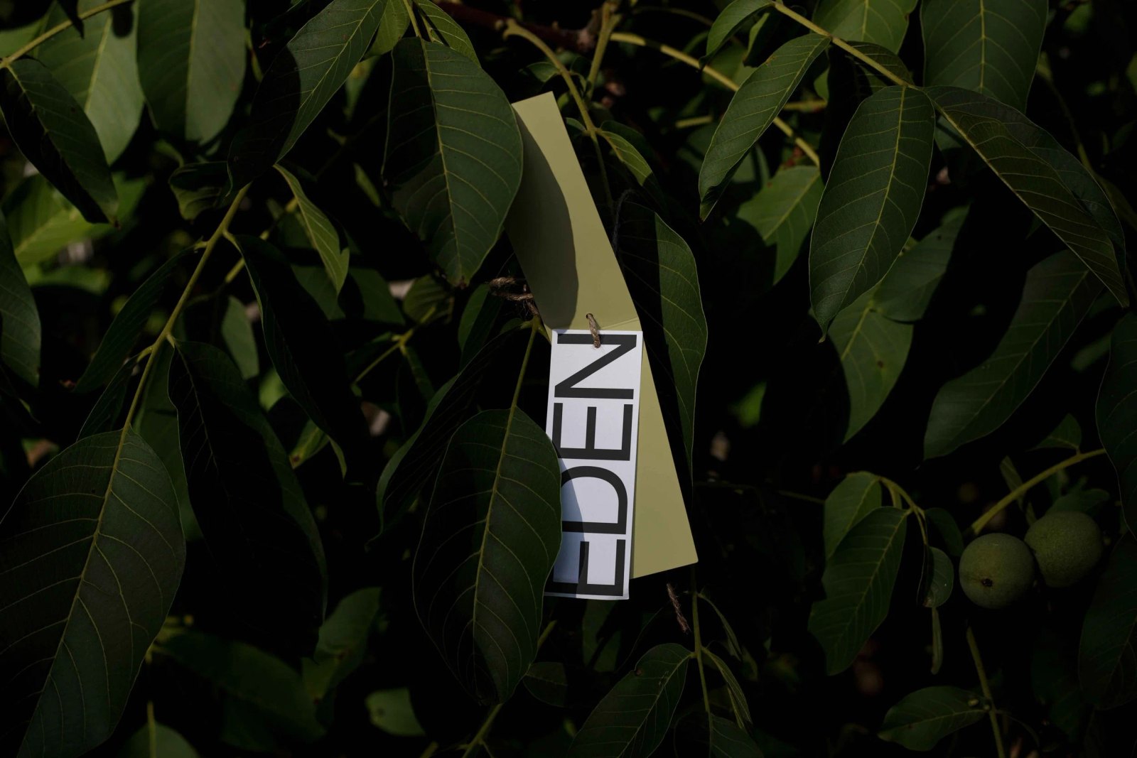 EDEN TAG 01