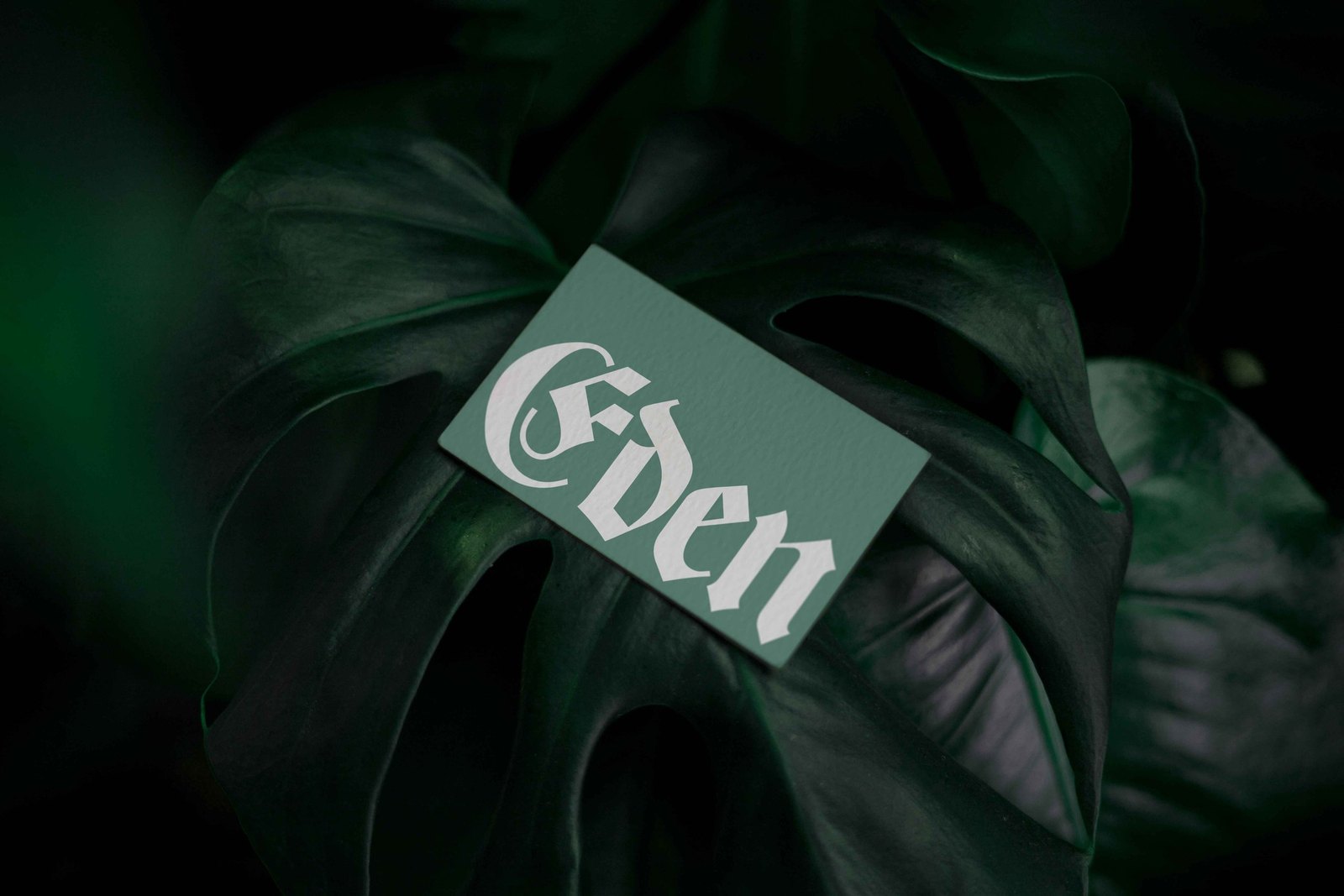 EDEN 02 BUSINESS CARD 05 preview 3