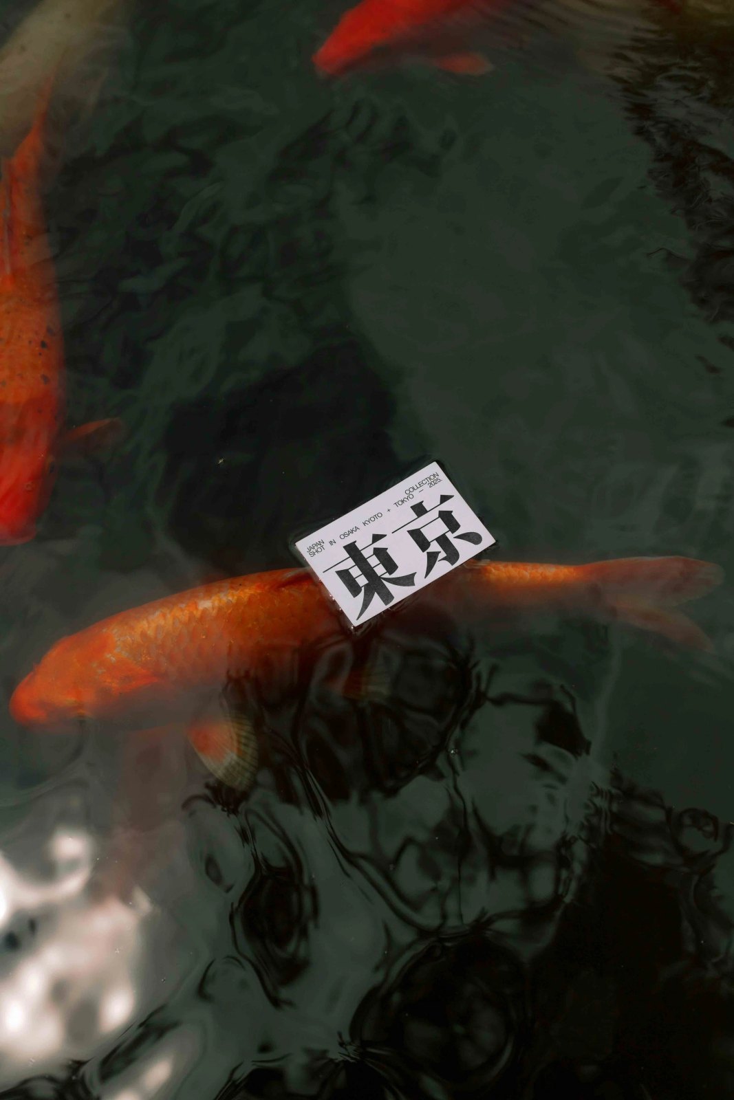 JAPAN BUSINESSCARD 01