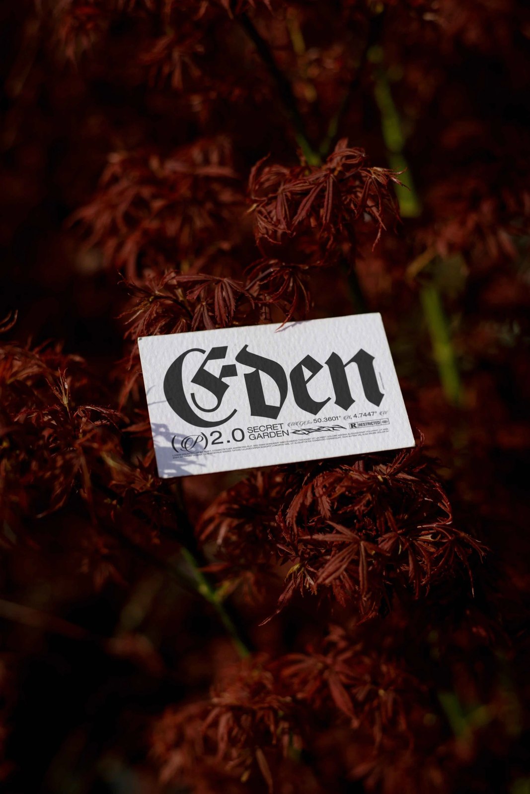 EDEN 02 BUSINESS CARD 15 preview 3