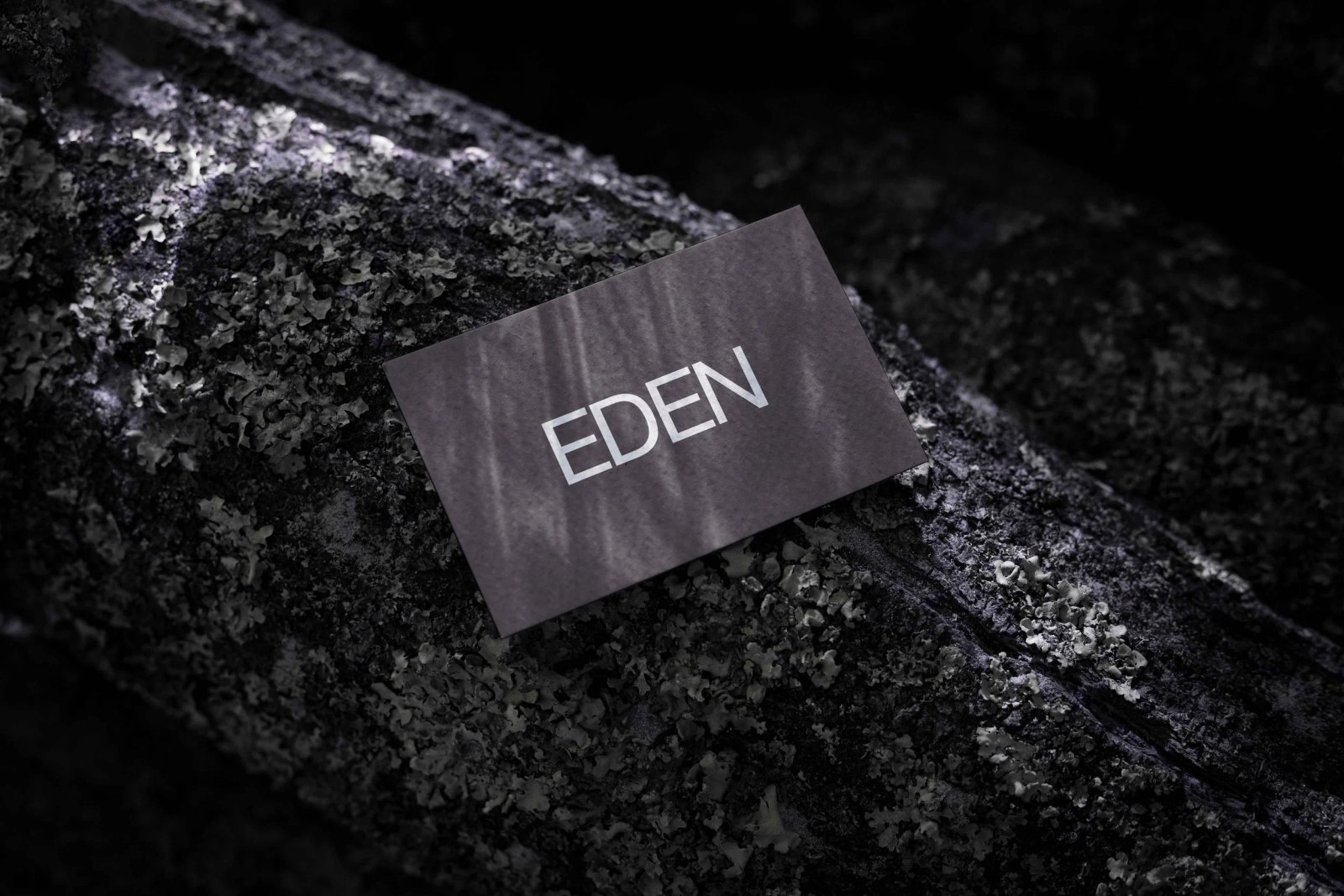EDEN BUSINESS CARD 07 preview 3