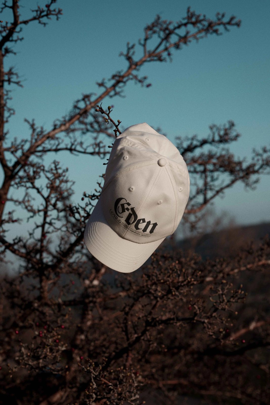 EDEN 02 CAP 02