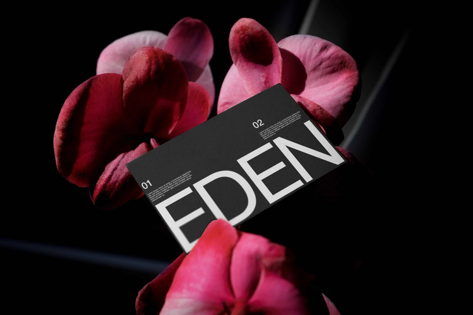 EDEN BUSINESS CARD 01