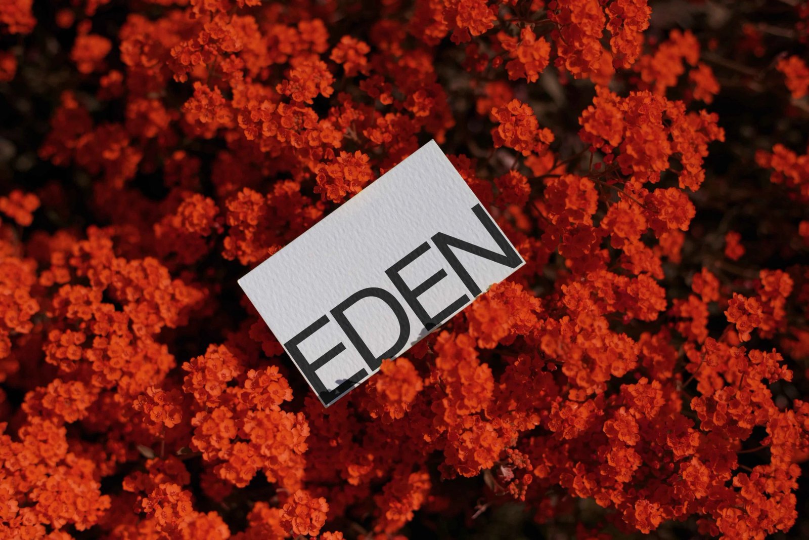 EDEN BUSINESS CARD 05
