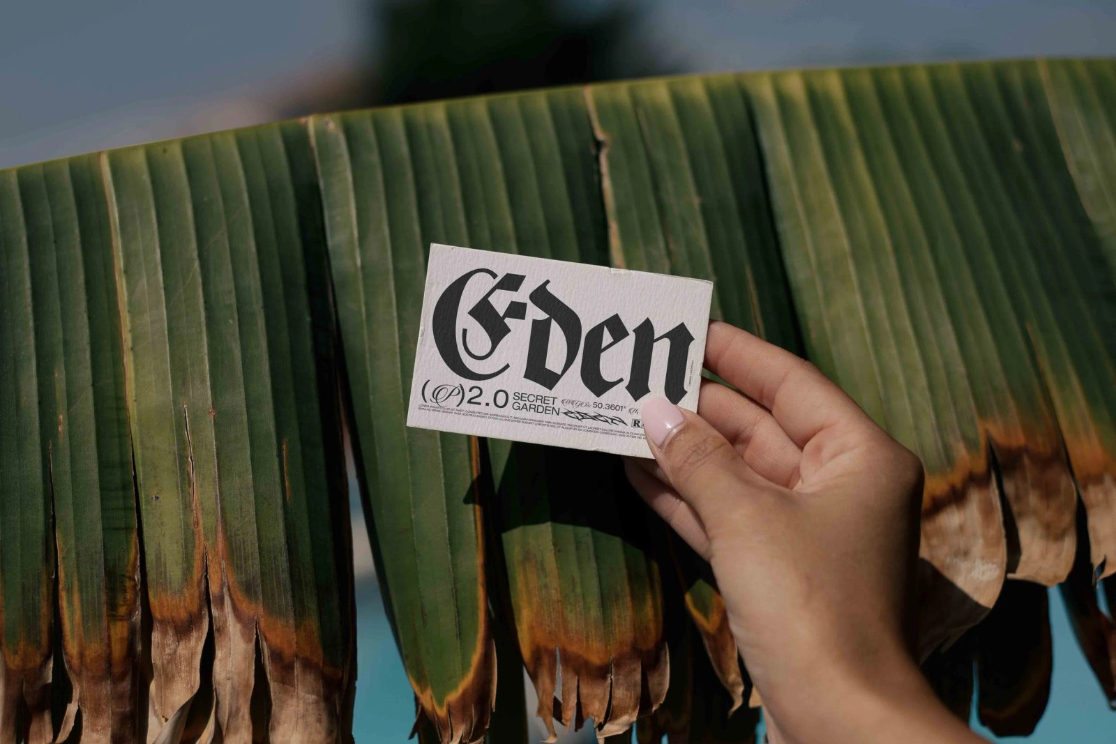 EDEN 02 BUSINESS CARD 20 preview 5