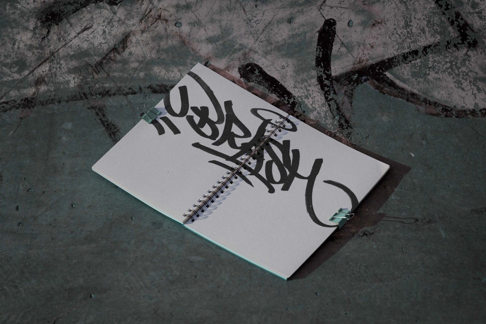 BRASH BOOK 01