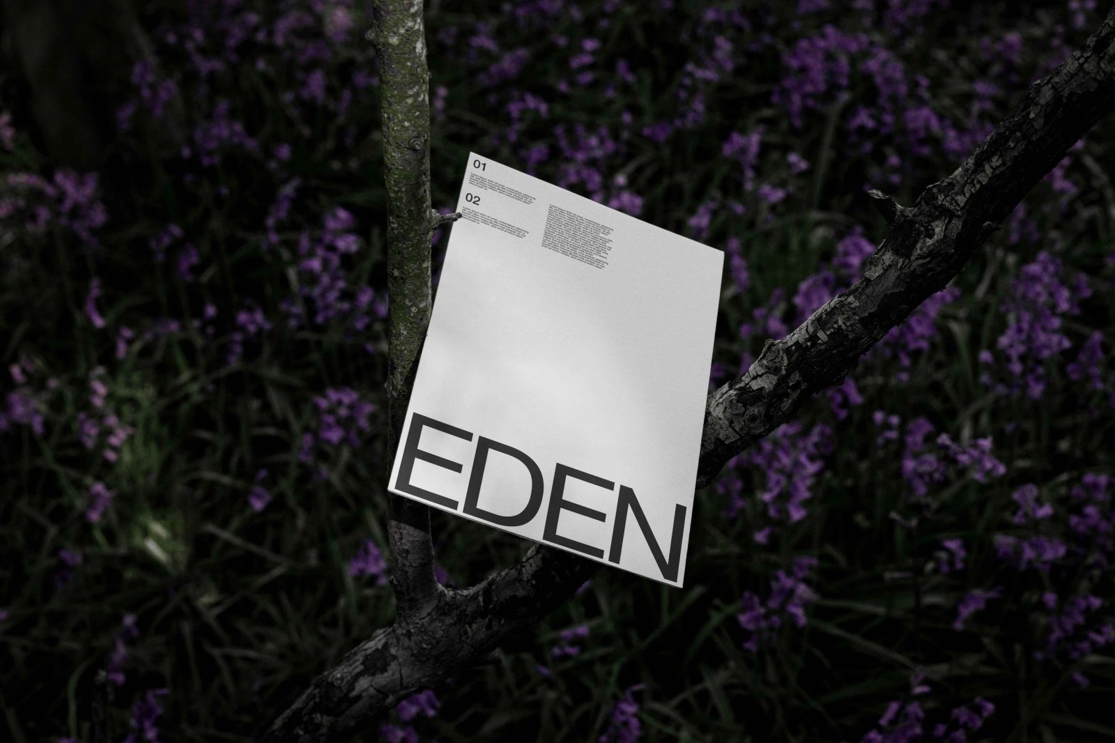 EDEN POSTER 01