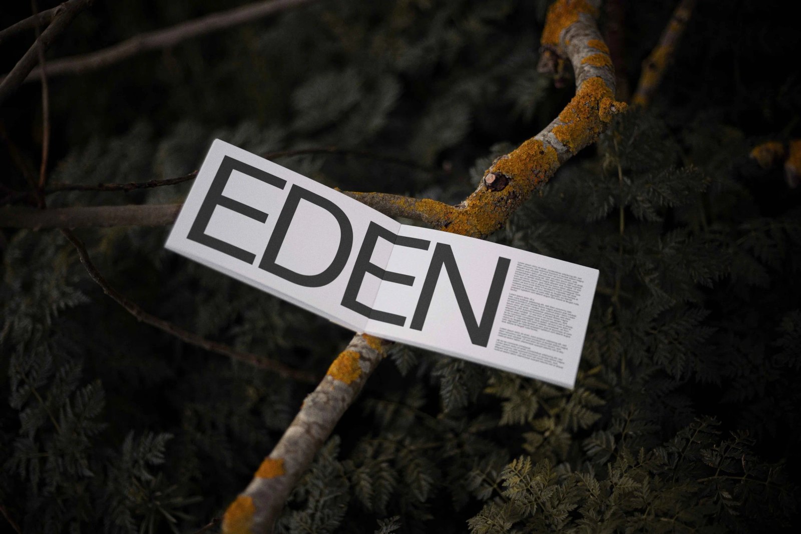 EDEN BOOK 02