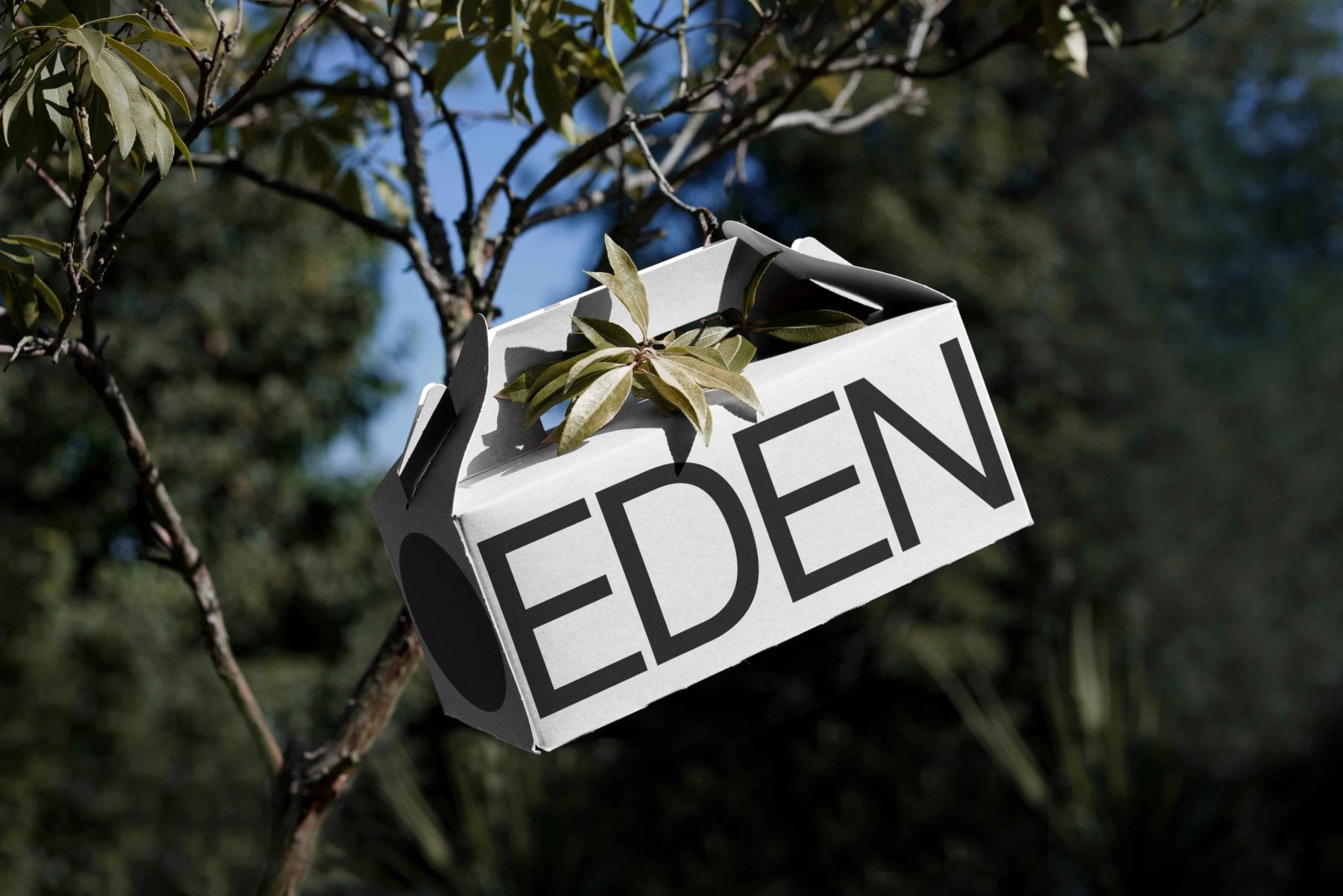 EDEN SMALL ECO BOX 04 preview 4