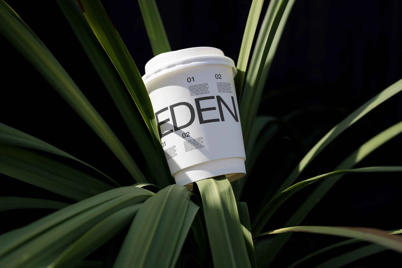 EDEN ECO CUP 01