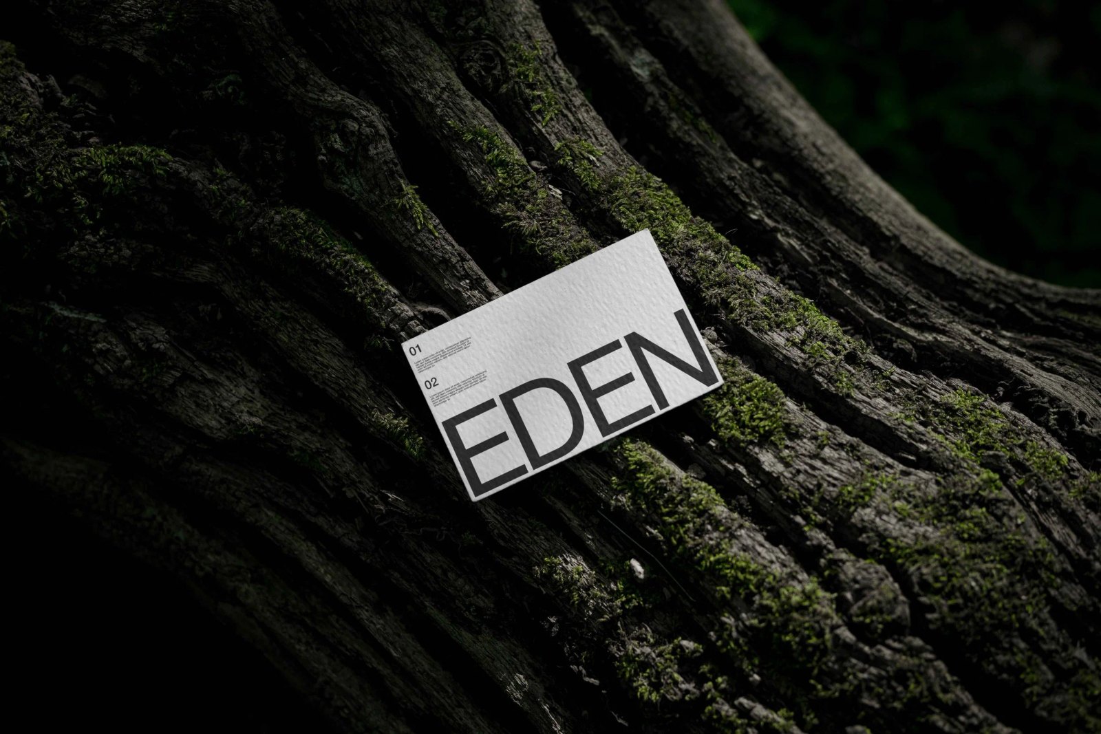 EDEN BUSINESS CARD 02 preview 3