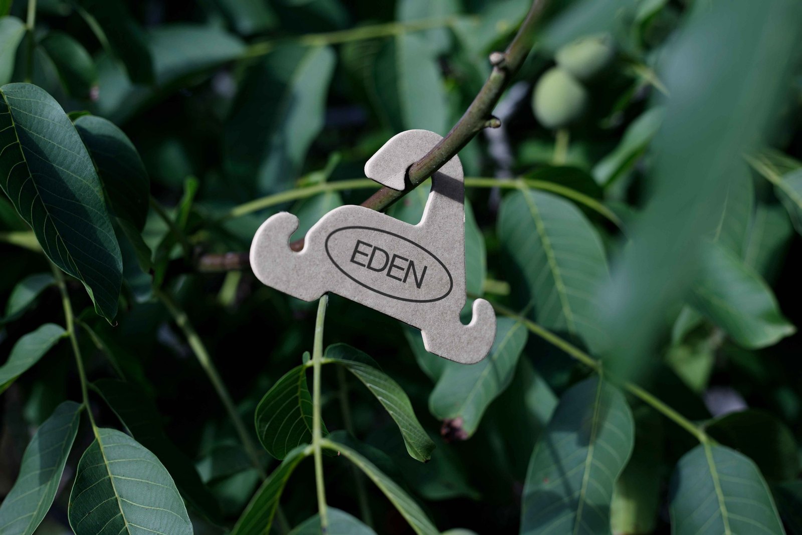 EDEN ECO HANGER 01
