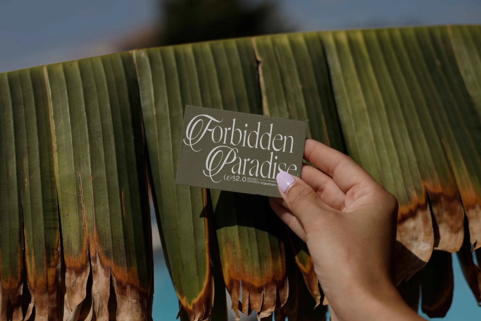 EDEN 02 BUSINESS CARD 20 preview 3