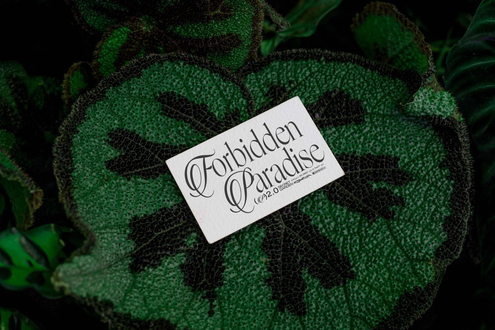 EDEN 02 BUSINESS CARD 03