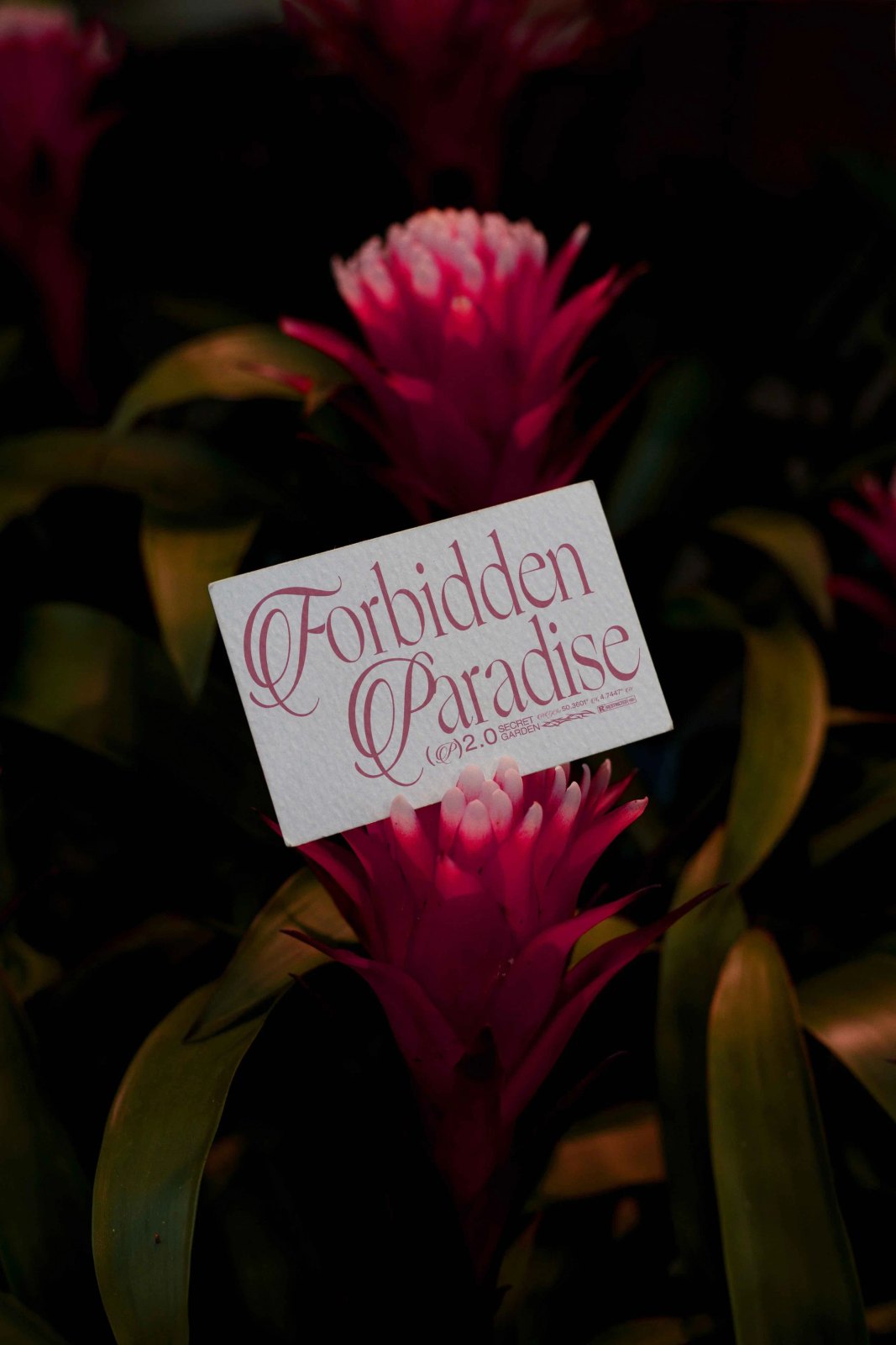 EDEN 02 BUSINESS CARD 06