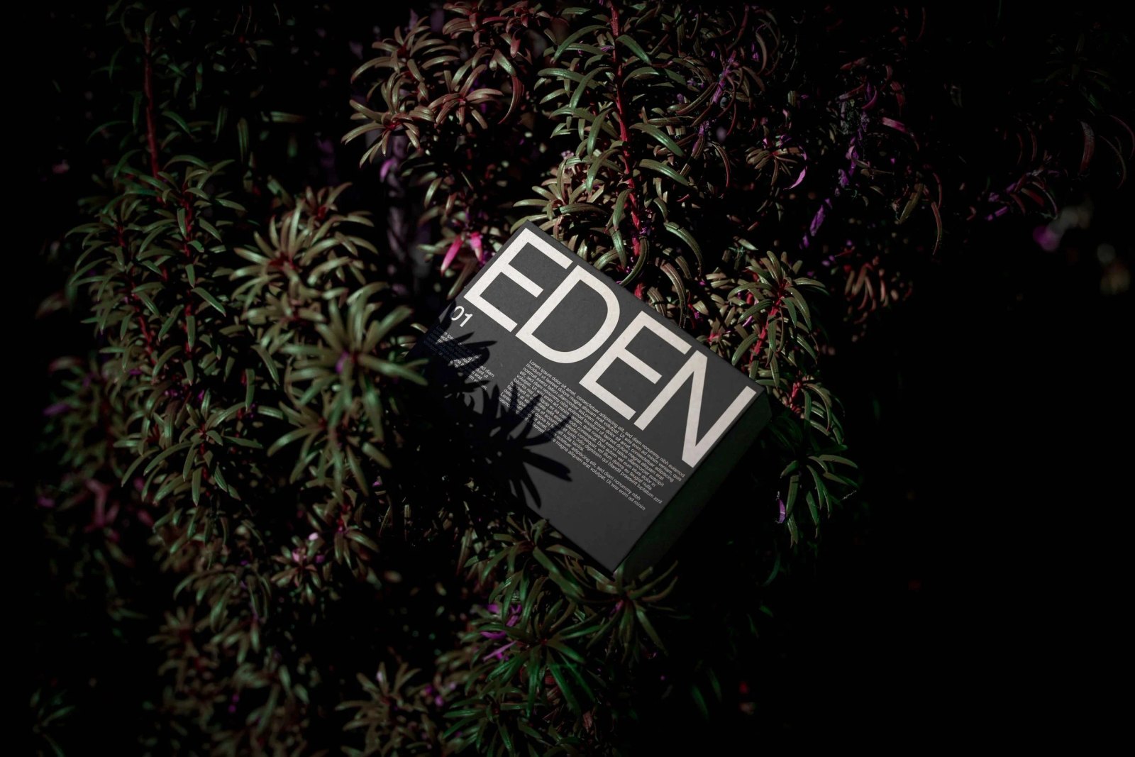 EDEN ECO BOX 01 preview 3