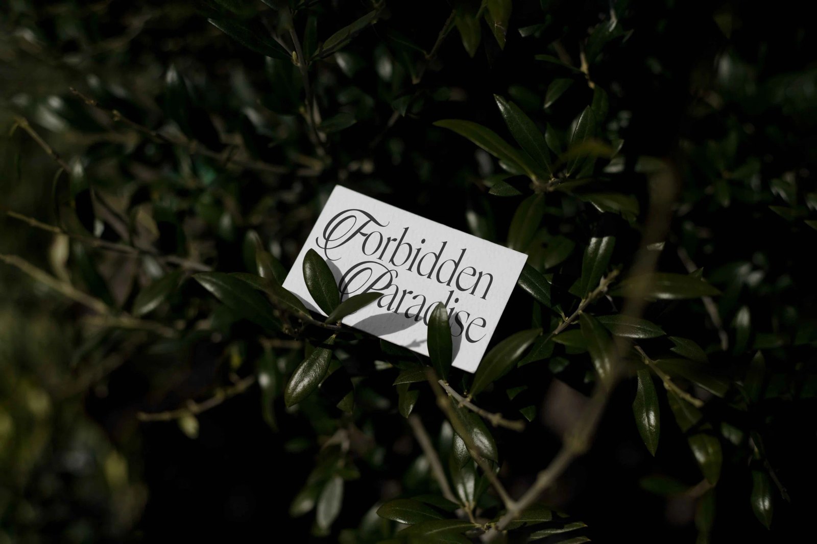 EDEN 02 BUSINESS CARD 01