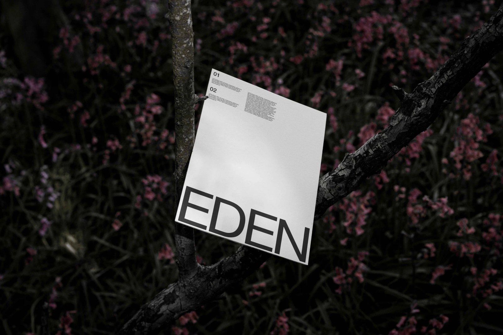 EDEN POSTER 01 preview 3