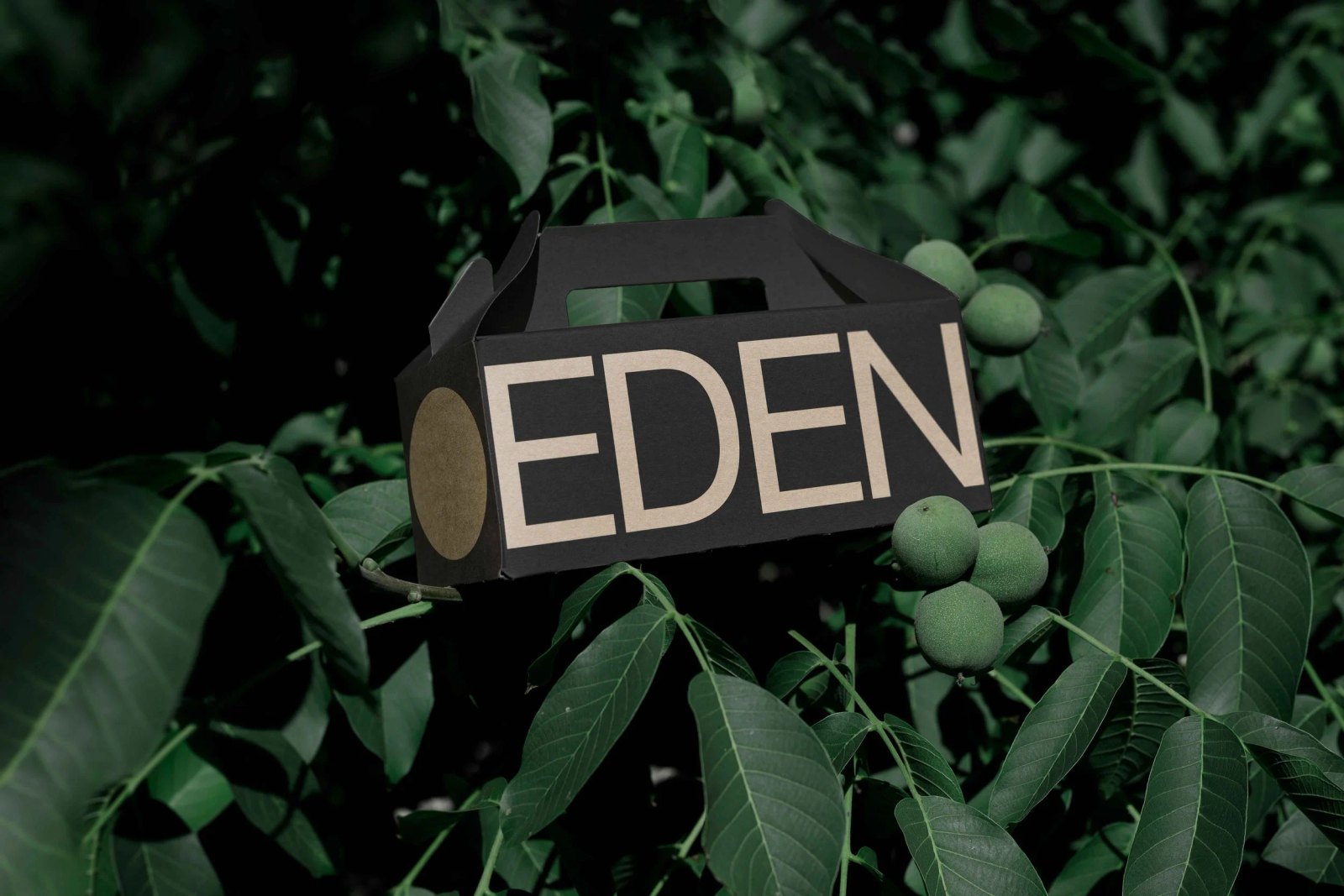 EDEN SMALL ECO BOX 01 preview 3