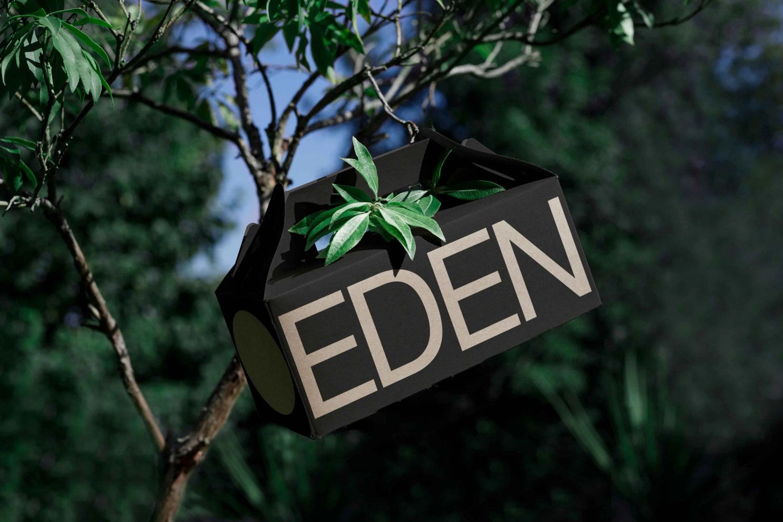 EDEN SMALL ECO BOX 04 preview 3