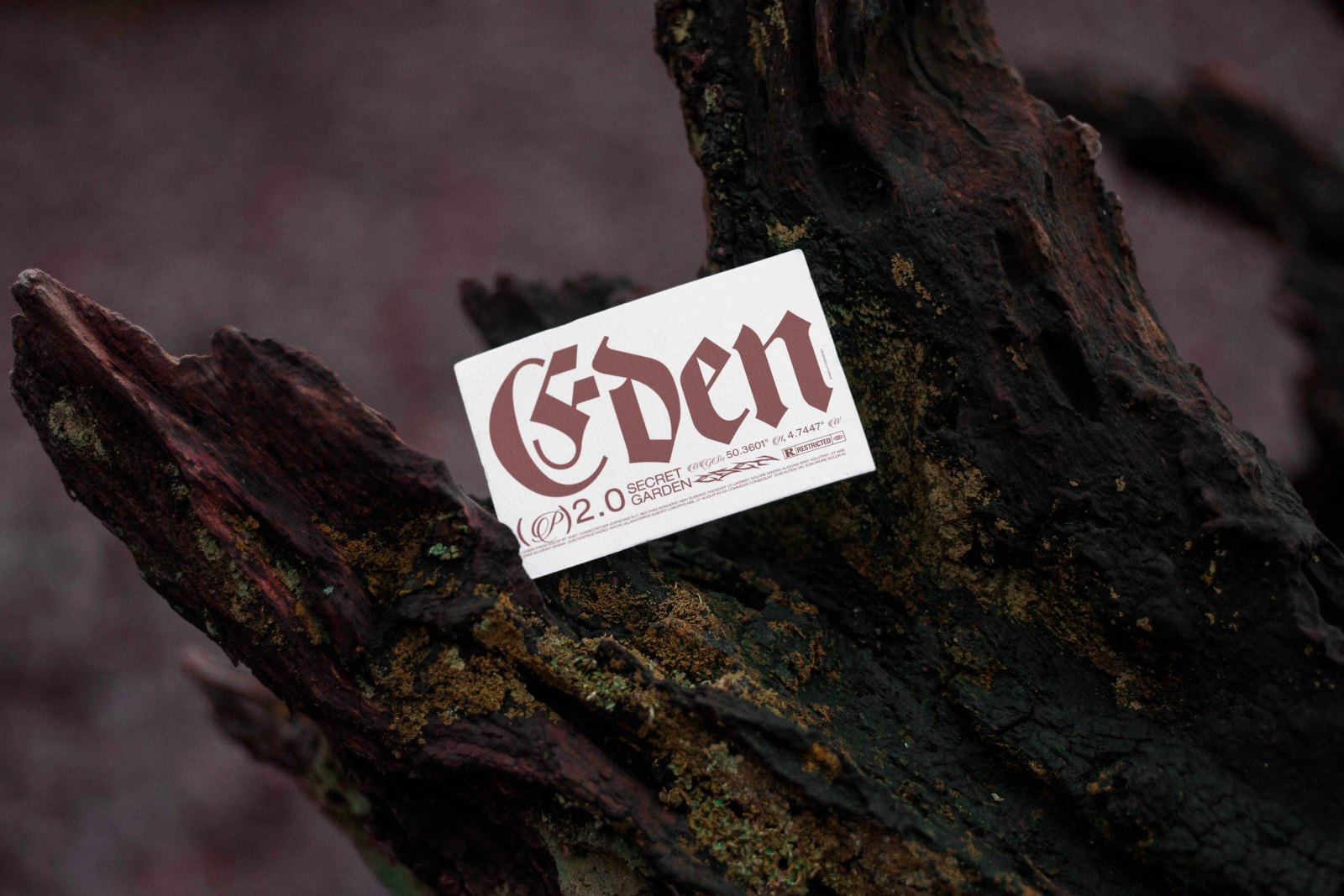 EDEN 02 BUSINESS CARD 10 preview 3