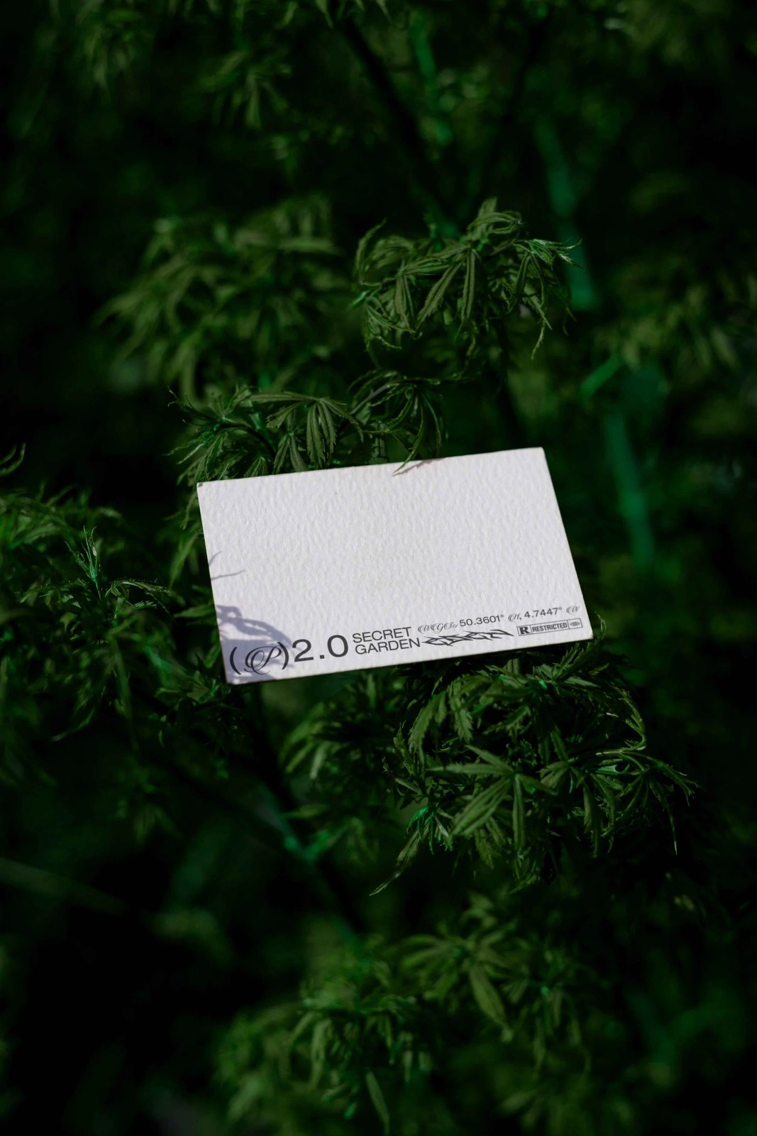 EDEN 02 BUSINESS CARD 15