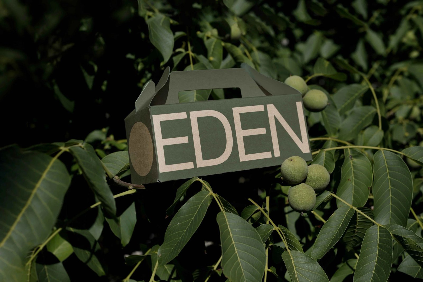EDEN SMALL ECO BOX 01 preview 4
