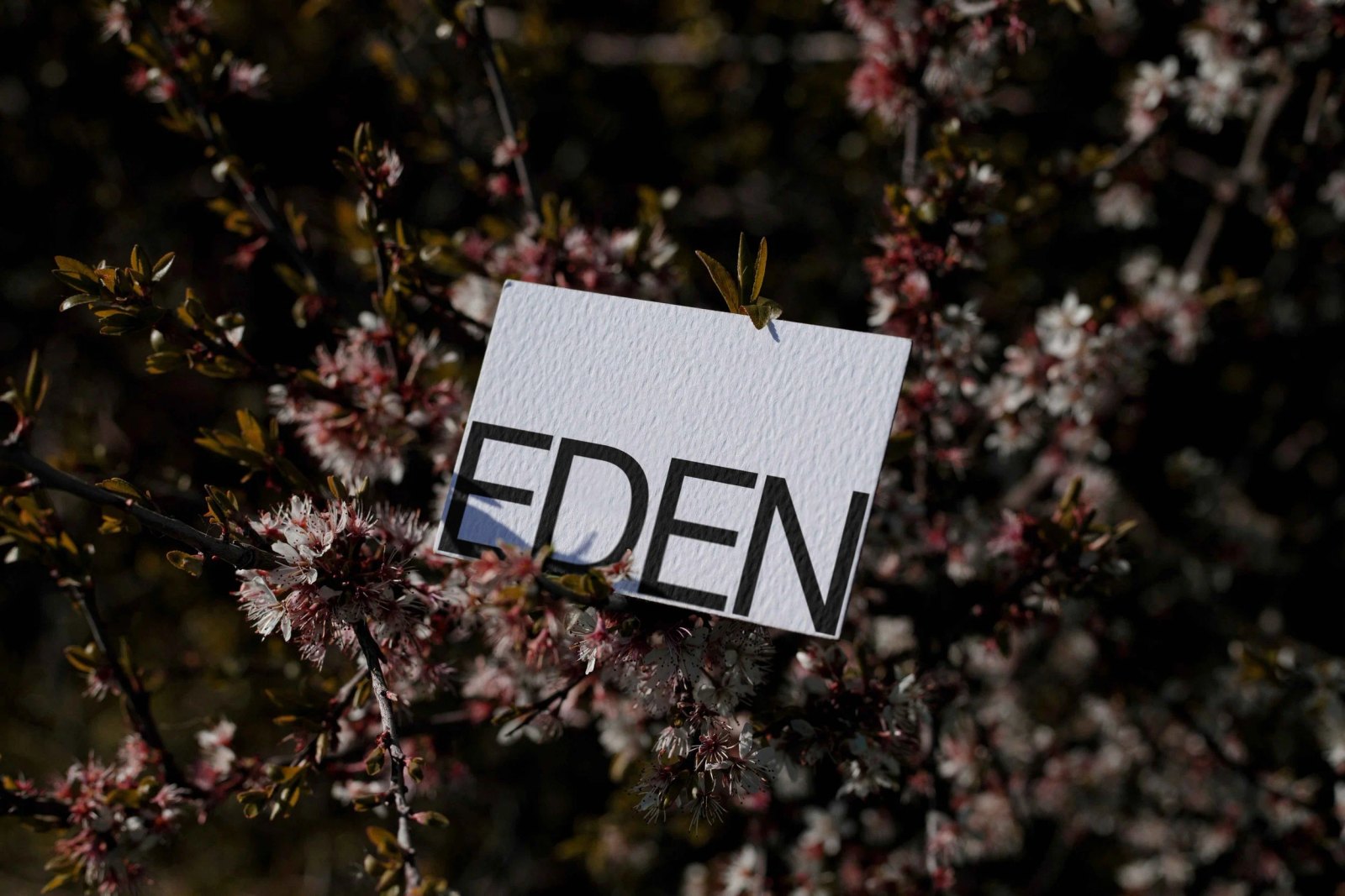 EDEN BUSINESS CARD 03