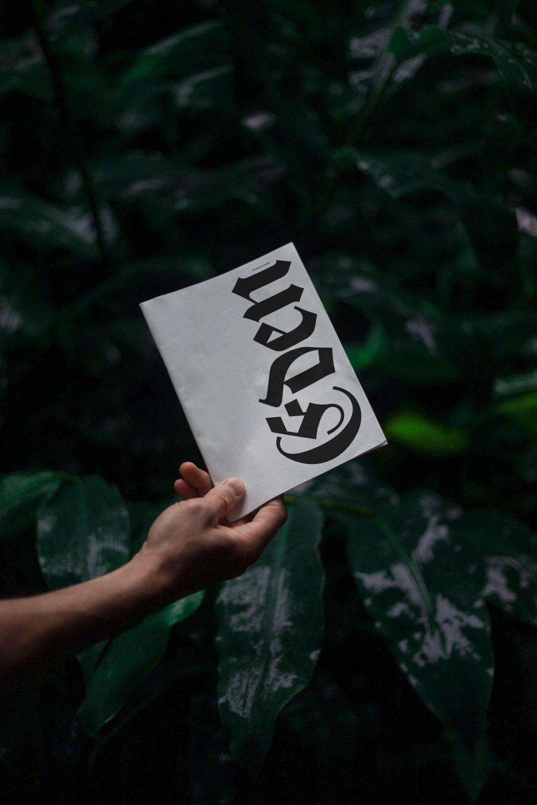 EDEN 02 BOOK 02