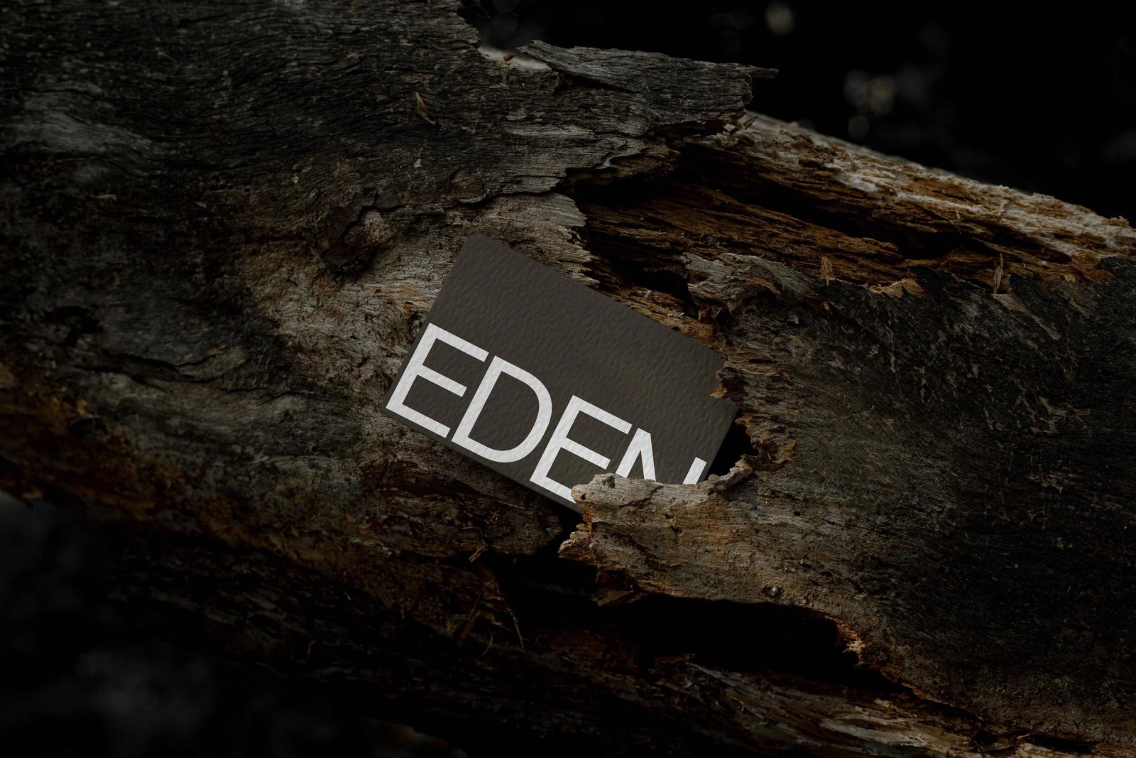 EDEN BUSINESS CARD 09 preview 3