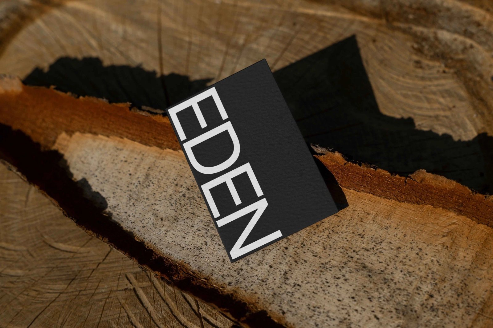EDEN BUSINESS CARD 11