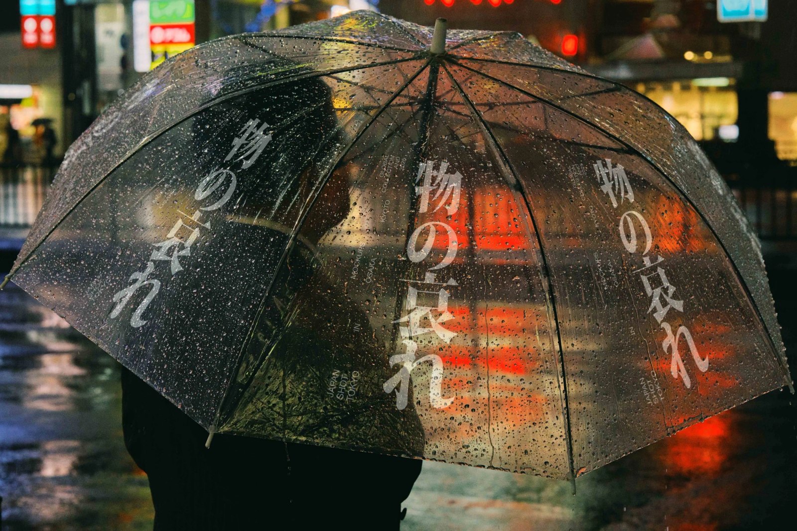 JAPAN UMBRELLA 02