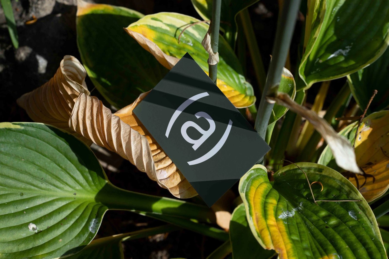 B1 BUSINESS CARD 05