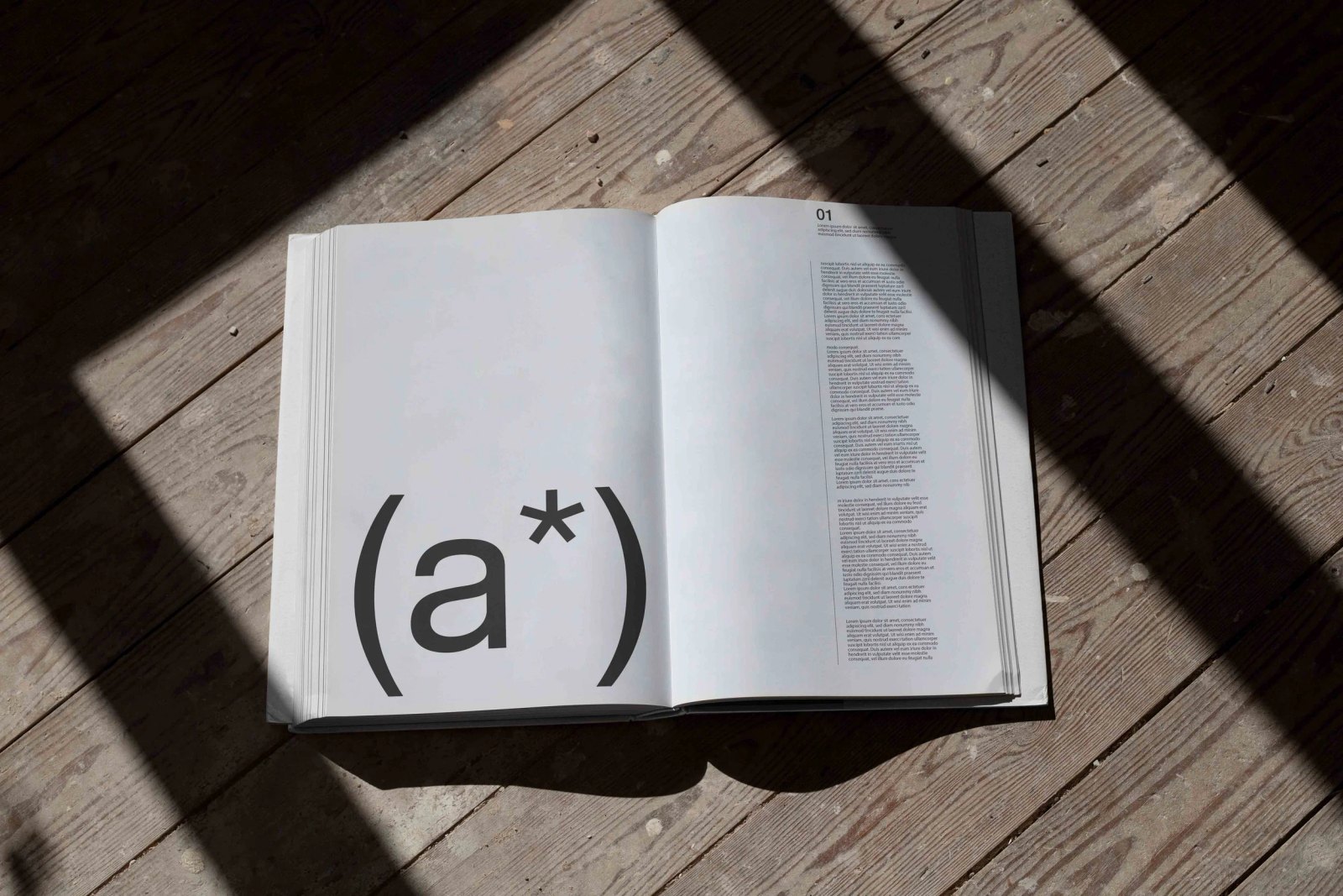 B1 RECTANGLE BOOK V2 02