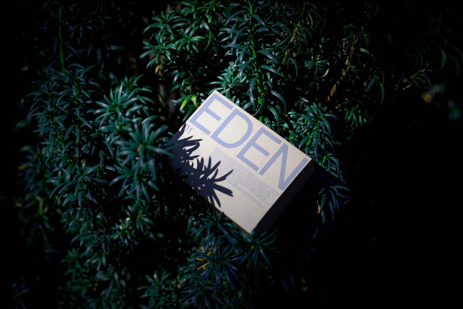 EDEN ECO BOX 01 preview 2