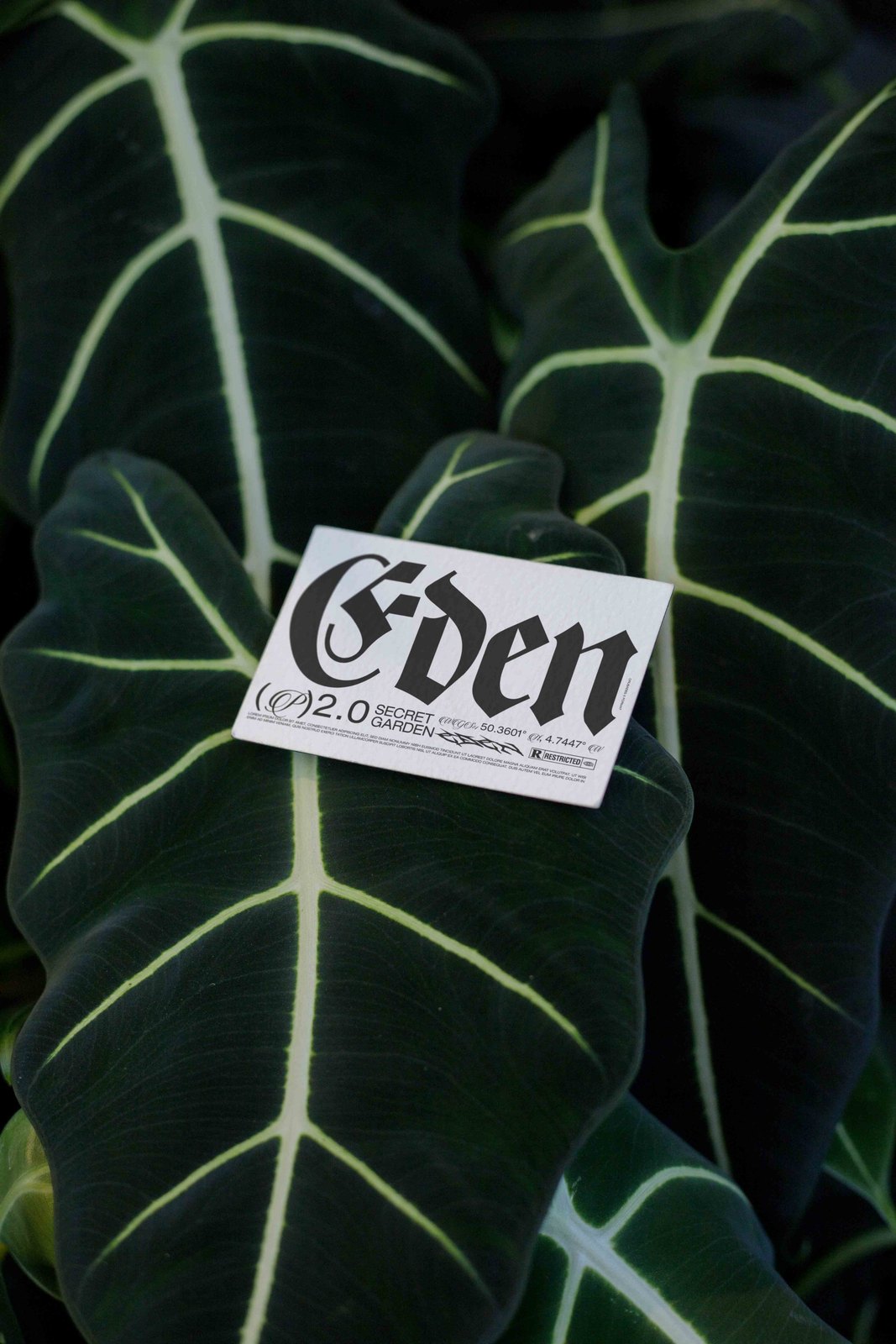 EDEN 02 BUSINESS CARD 04 preview 4