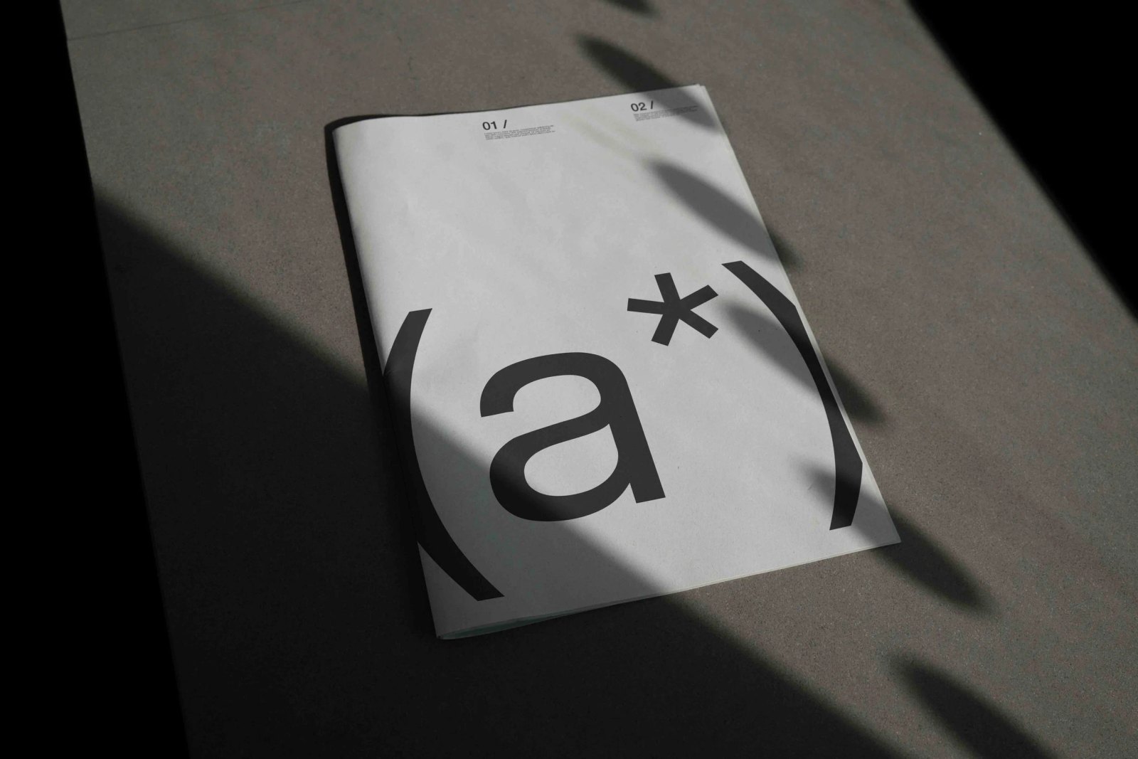B2 NEWSPAPERS 01