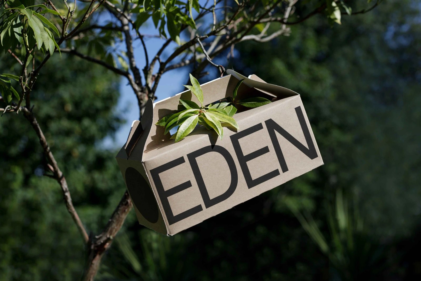 EDEN SMALL ECO BOX 04 preview 5