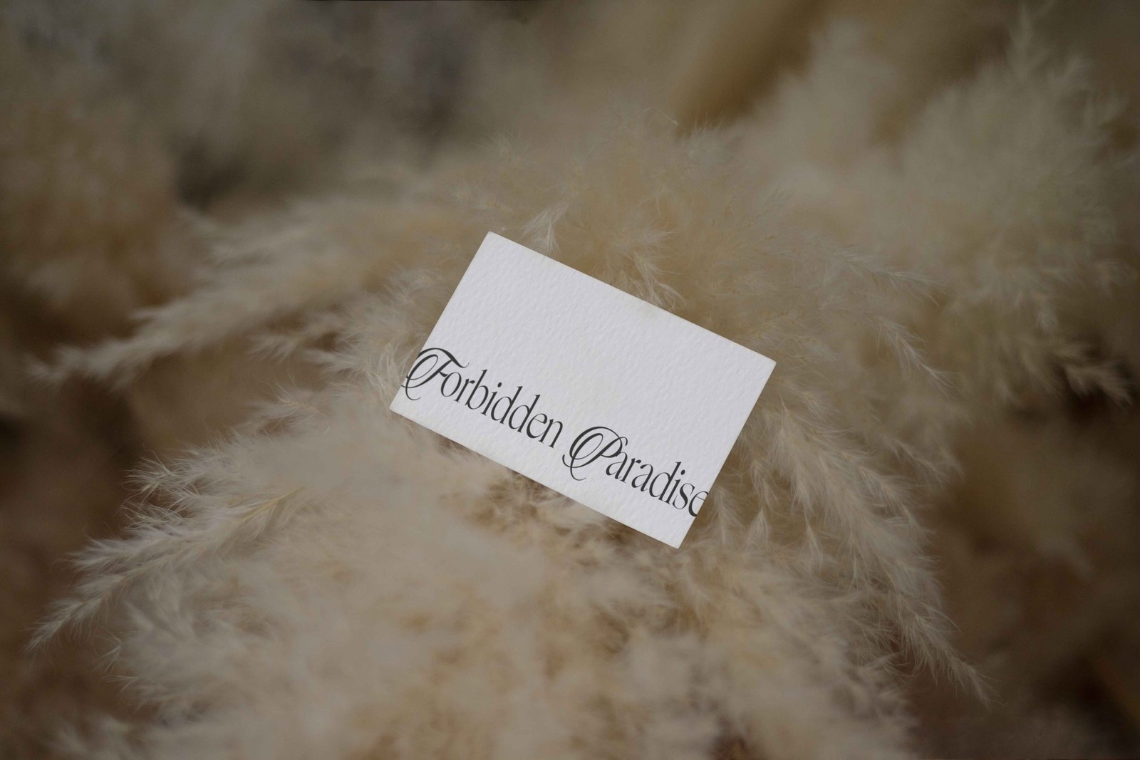 EDEN 02 BUSINESS CARD 13