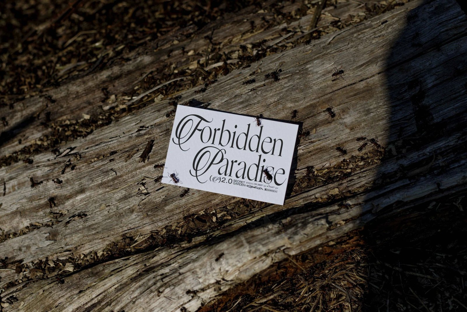 EDEN 02 BUSINESS CARD 17