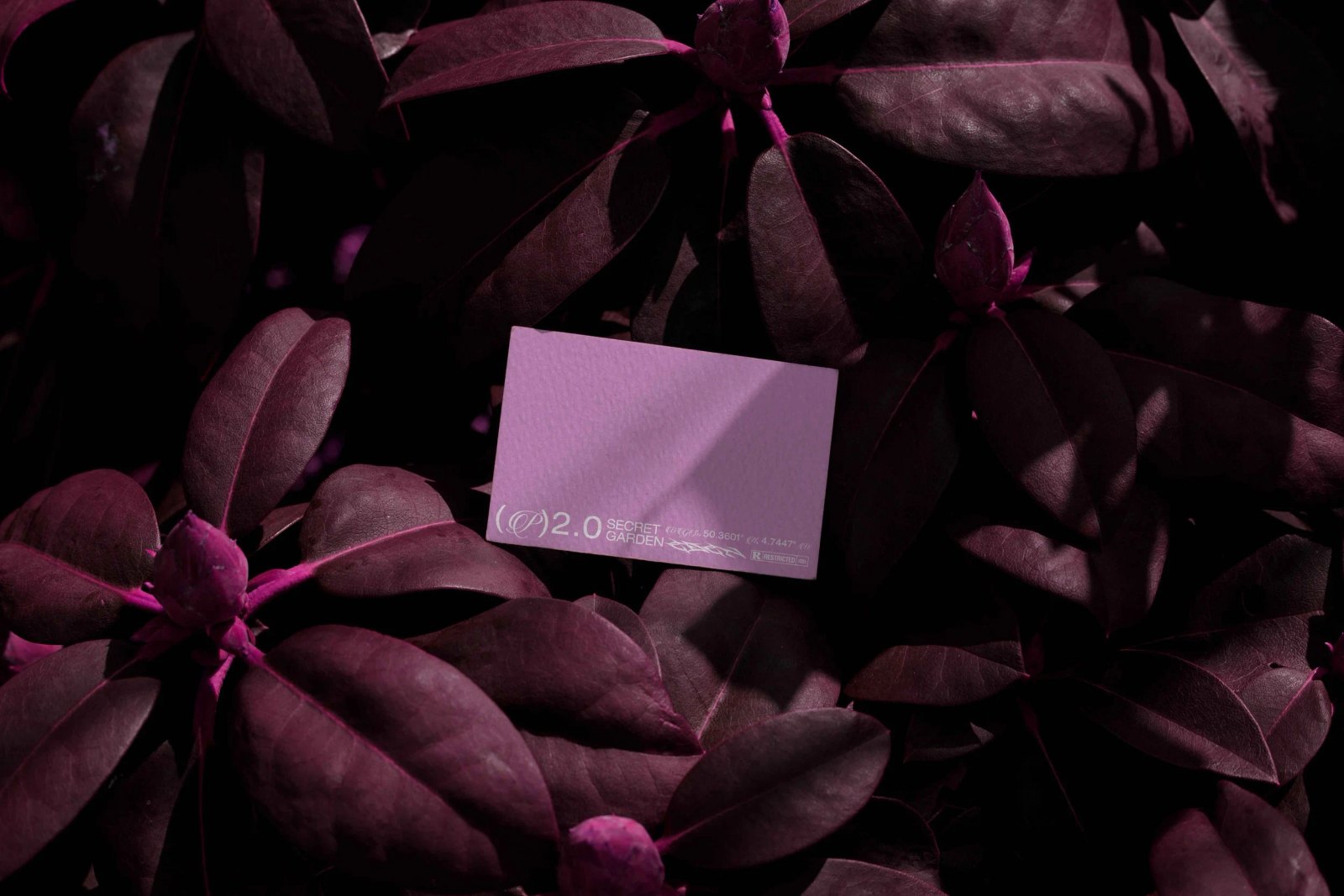 EDEN 02 BUSINESS CARD 07 preview 4