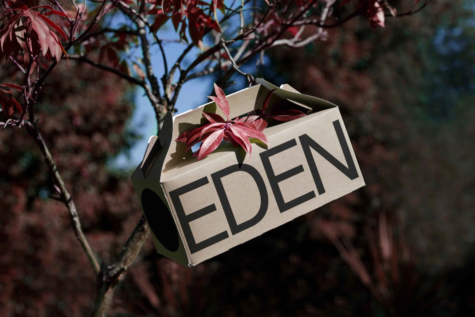 EDEN SMALL ECO BOX 04