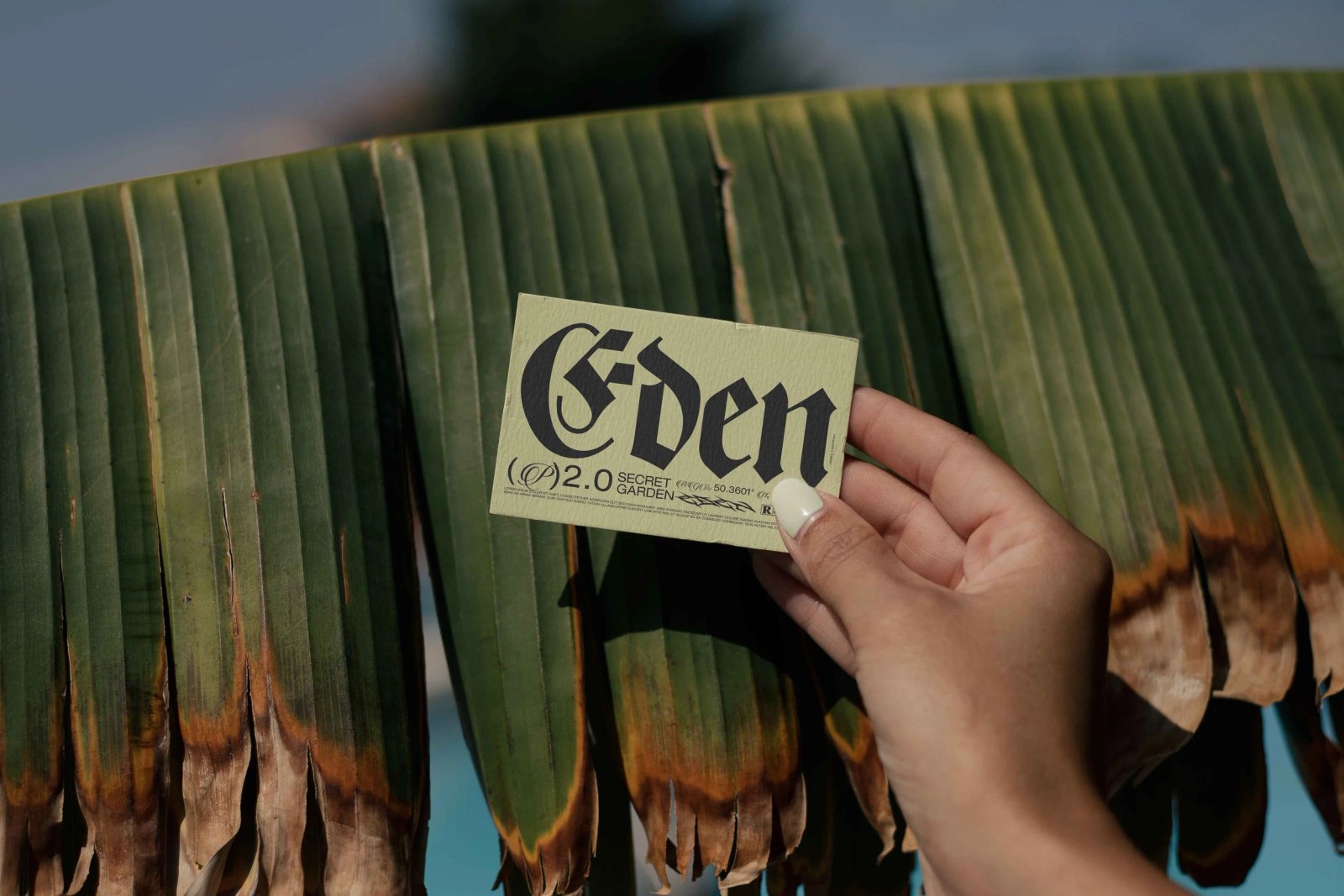 EDEN 02 BUSINESS CARD 20 preview 4